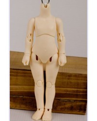2D 25cm Special Body (Not for sale)