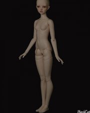 Doll Body