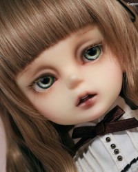 42cm Amanda Head