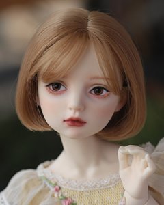 WDP135 Brown 1/6