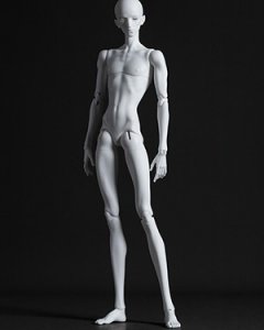 Dream Valley Cadel Special Body B4-40 (53cm)