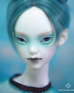 60cm Gine Head