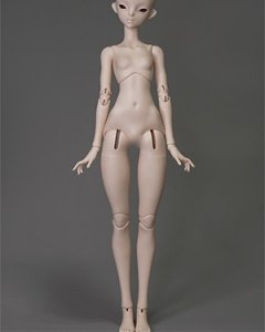 Coralreef 1/4 Girl Body (45cm)