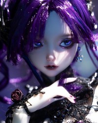 Rolinsa (Fullset)