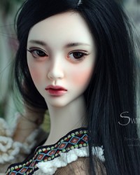 Swinte