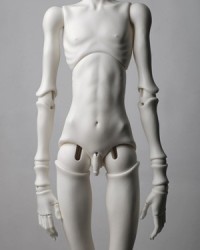 A-body-03 (72cm)