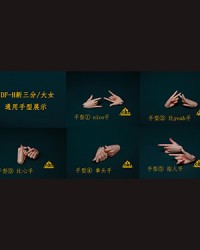 DF-H 1/3 Girl Hands