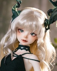 A Break In The Woods-Fawna