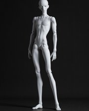 Doll Body