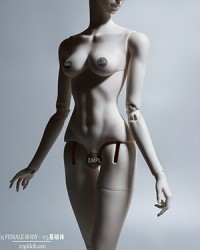 Impl 65cm Girl Body (Basic)