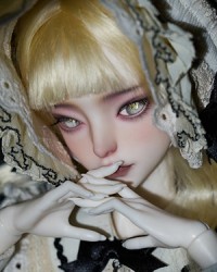 Lilium Candidum 1/4