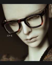 GLS217 Tortoiseshell 1/3 GLS217 Tortoiseshell 1/3