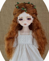 WDP001 Carrot 1/8