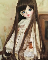 WDA3033 Dark Brown
