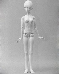 AOD 44cm Girl Body Ver.3