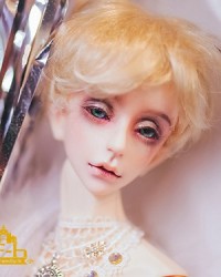 62cm Puan Head