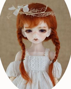 WDP005 Carrot 1/6