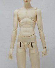 Doll Body