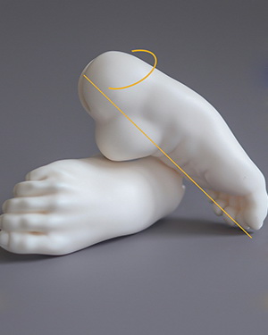 DF-H 68cm Female Ballet Feet - Click Image to Close