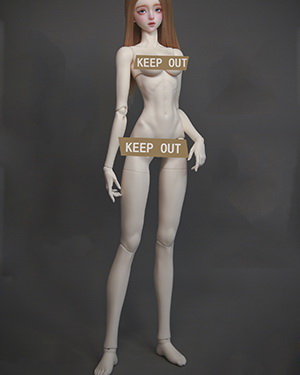 DF-H 68cm Slim Girl Body - Click Image to Close