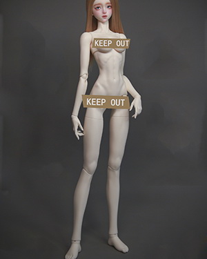 DF-H 68cm Slim Girl Body - Click Image to Close