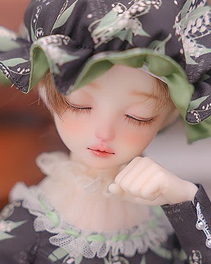 Acacia Bean SP Sleeping - Click Image to Close