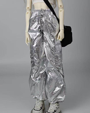 ANPG009 Silver - Click Image to Close