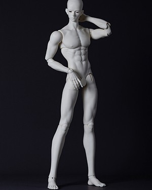 Dream Valley Body B75-02 - Click Image to Close
