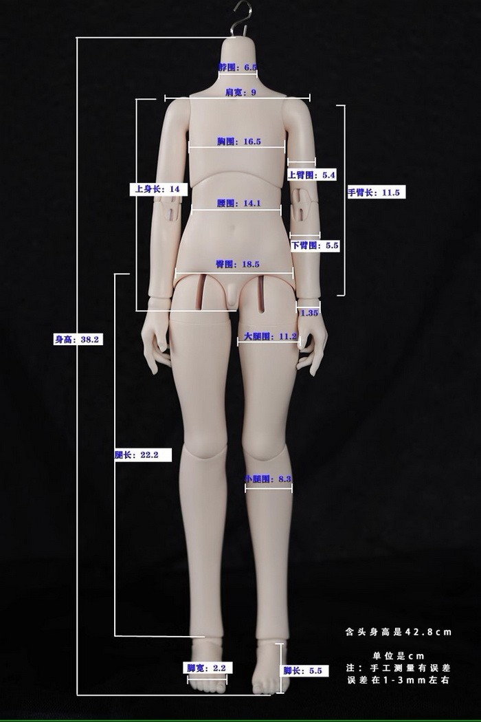 Doll Body Sizes