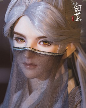 Bai Zhi - Click Image to Close