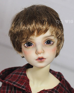WDP008 Brown 1/6 - Click Image to Close