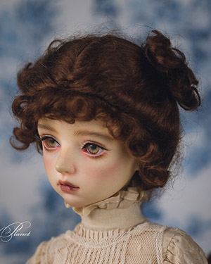 WDP040 Brown 1/6 - Click Image to Close
