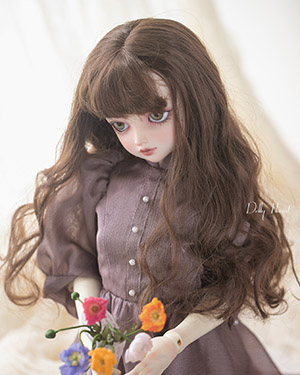 WDP062 Brown 1/6 - Click Image to Close
