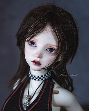 WDP104 Dark Brown 1/6 - Click Image to Close