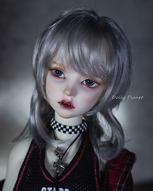 WDP104 Silver Grey 1/6 - Click Image to Close