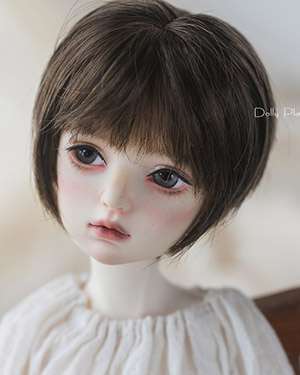 WDP112 Dark Brown 1/6 - Click Image to Close