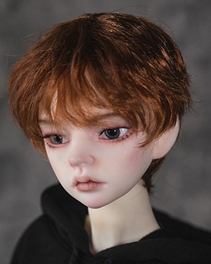 WDP126 Areca Brown 1/6 - Click Image to Close