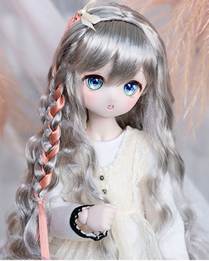 WMS025 Silver Grey 1/6 - Click Image to Close